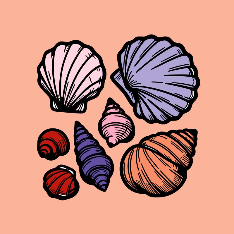 shells