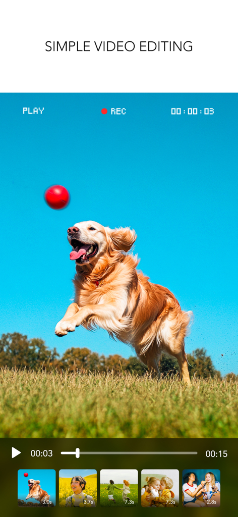 Interface of the MOLDIV app showing simple video editing features with a dog clip and a video timeline.