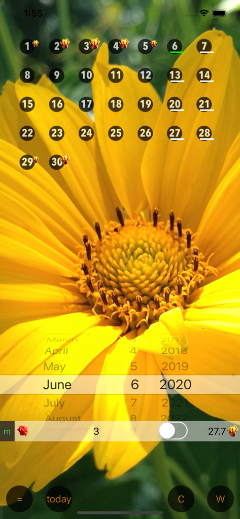 Only For Women - Calendar W - Interfaz de calendario de seguimiento del ciclo menstrual con un fondo de girasol amarillo