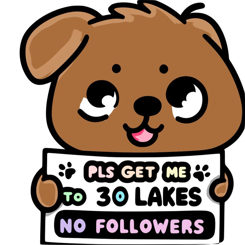 dog with a sign that says “pls get me to 30 likes and 5 followers”
