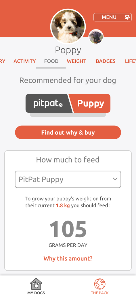The PitPat app food tab showing a personalized daily feeding recommendation for a puppy.