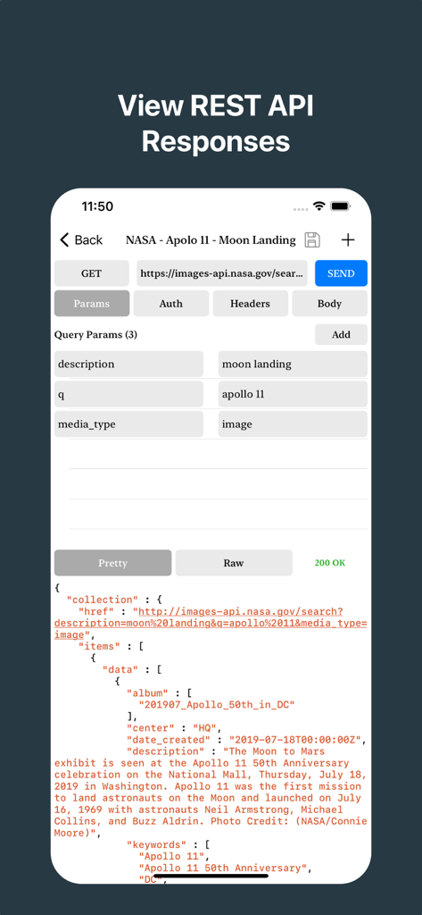 NASA APIへのGETリクエスト、クエリパラメータ、フォーマットされたJSONレスポンスが表示されたREST API Clientアプリのモバイルインターフェース