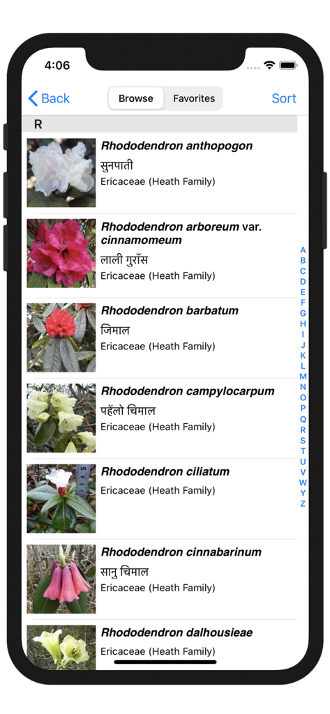 Wildflowers of Mount Everest - A catalog view of various Rhododendron species in the Wildflowers of Mount Everest app showing scientific names and photos.