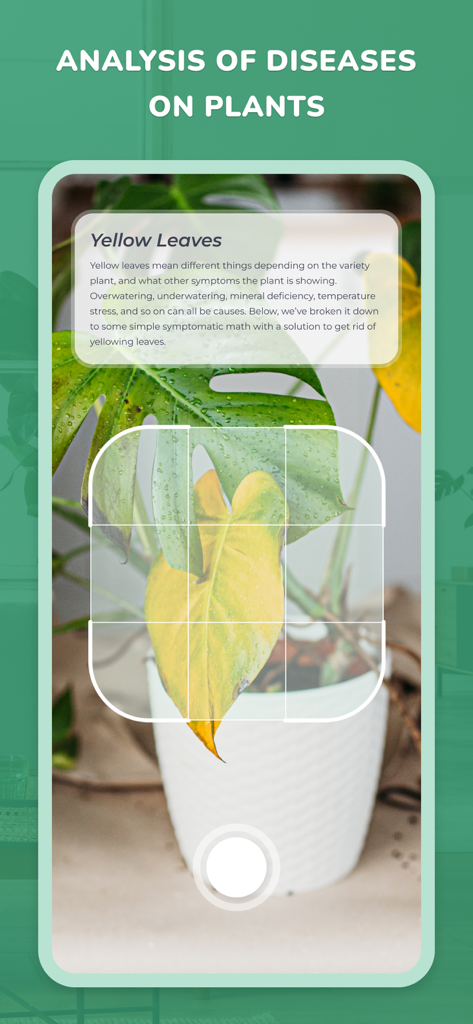 PlantID - Plant identifier++ - Tela do aplicativo móvel mostrando o recurso de análise de doenças de plantas identificando folhas amarelas em uma planta de interior