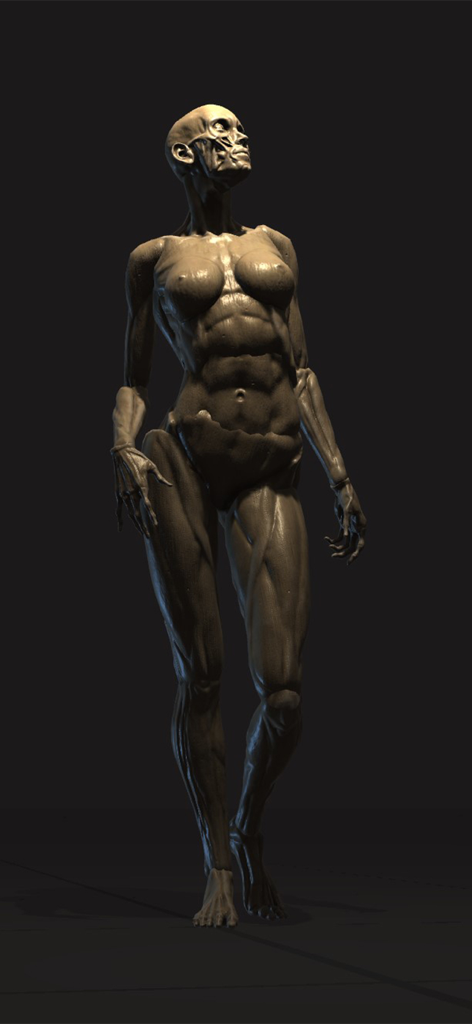 Poseit - Detailed 3D anatomical female model showing muscle structure for drawing reference