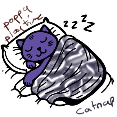 catnap