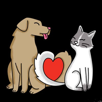 animals_22