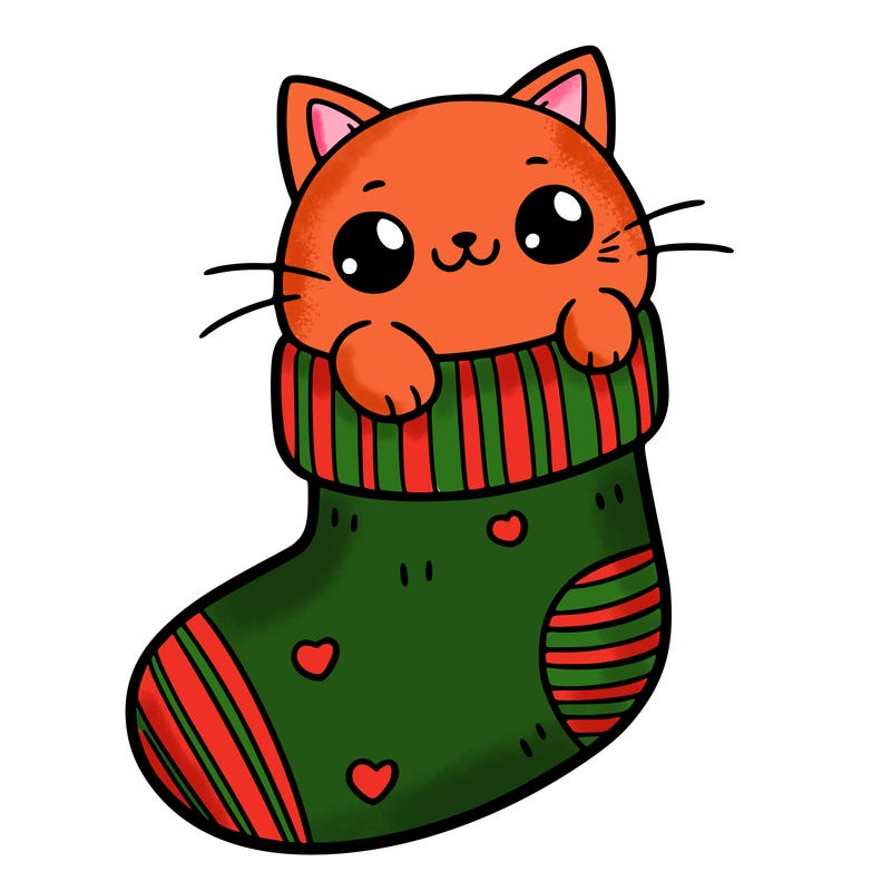cute cat in a sock