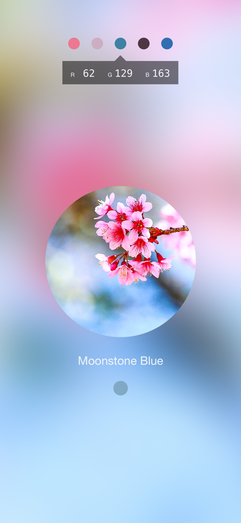 Color Lens 앱이 RGB 코드가 있는 꽃 사진에서 문스톤 블루 색상을 식별하고 있습니다.