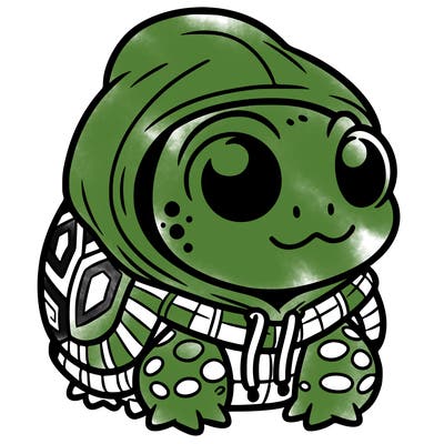 a frog wearing a turtle hoodie