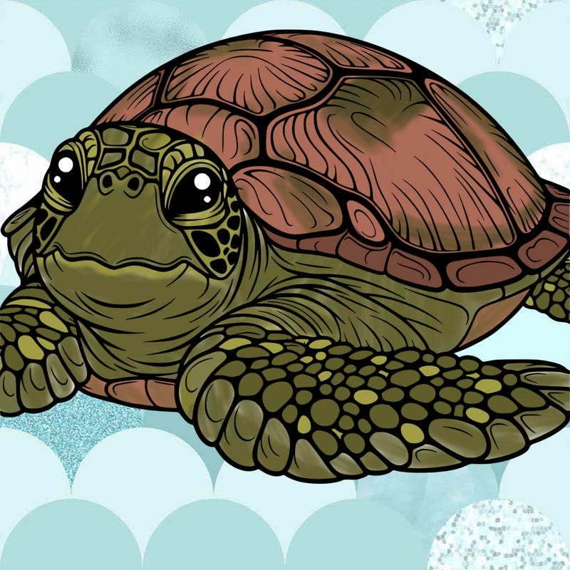 a sea turtle (realistic)