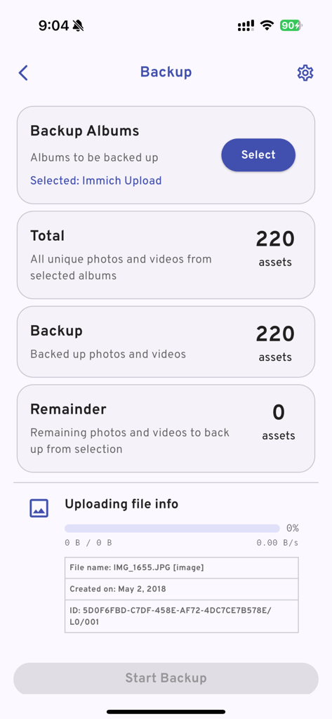 Immich mobile app backup interface showing asset count and file upload details