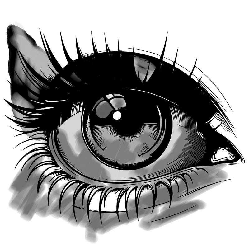 realistic eye