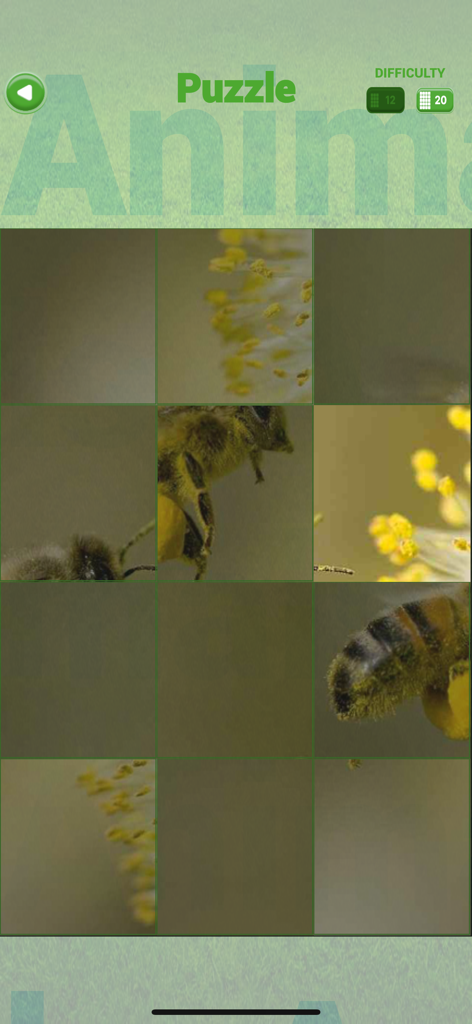 Animals 360x - Animals 360x educational puzzle game for kids featuring a bee