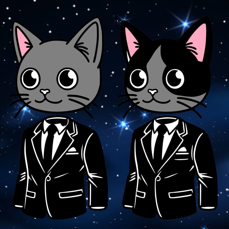 a tuxedo cat into a human