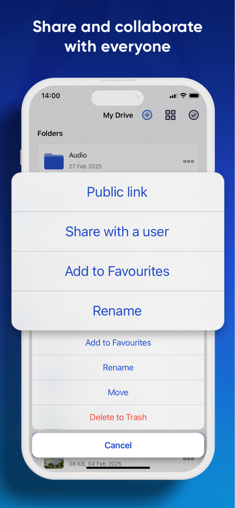 Icedrive – Cloud Storage - Icedrive app screen for sharing and collaborating on files with menu options for public links and user sharing.