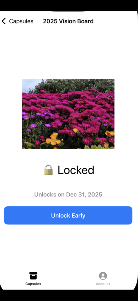 My Time Capsule - Uma cápsula de Quadro de Visão 2025 bloqueada no aplicativo Minha Cápsula do Tempo exibindo uma imagem de flor e sua data de desbloqueio agendada.