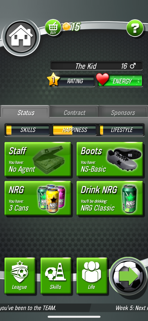 Pantalla de estado del jugador de New Star Soccer que muestra los niveles de energía, felicidad y equipamiento.