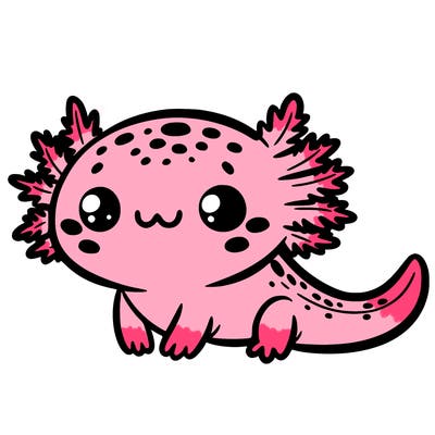 cute axolotl