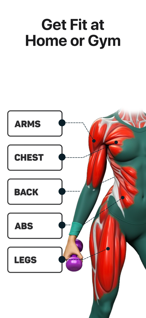 Fitonomy: Home & Gym Trainer - Anatomical illustration showing targeted muscle groups for home and gym workouts including arms chest back abs and legs