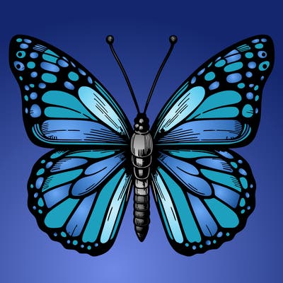 realistic butterfly