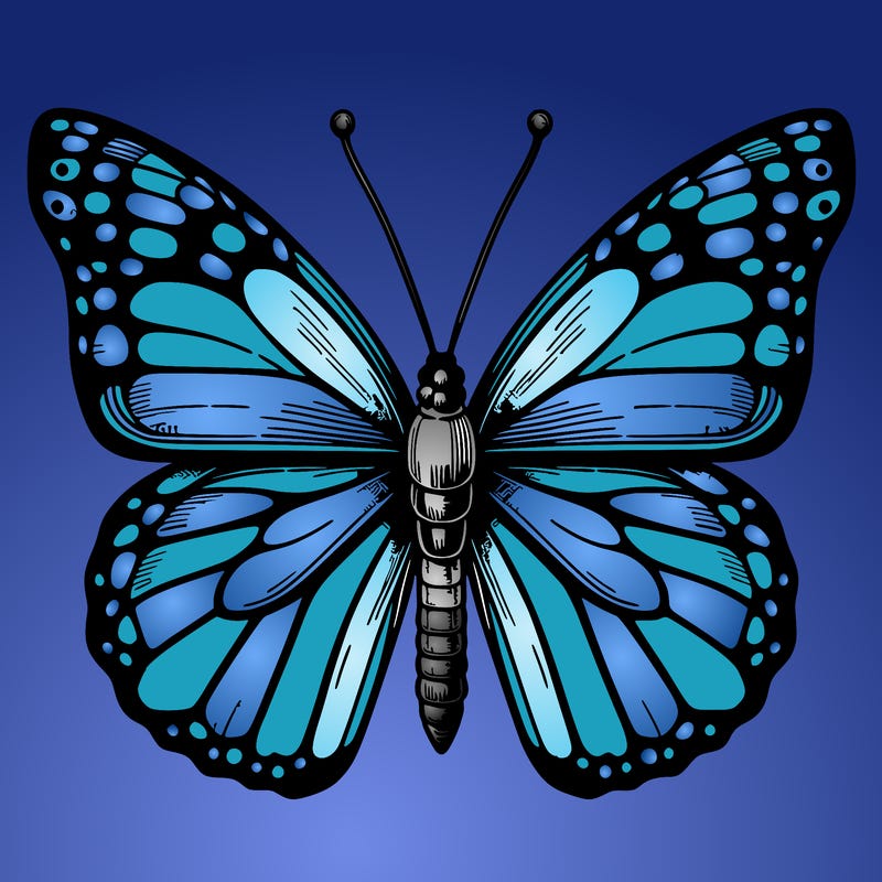 realistic butterfly