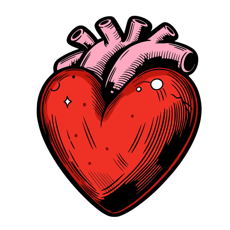 realistic heart