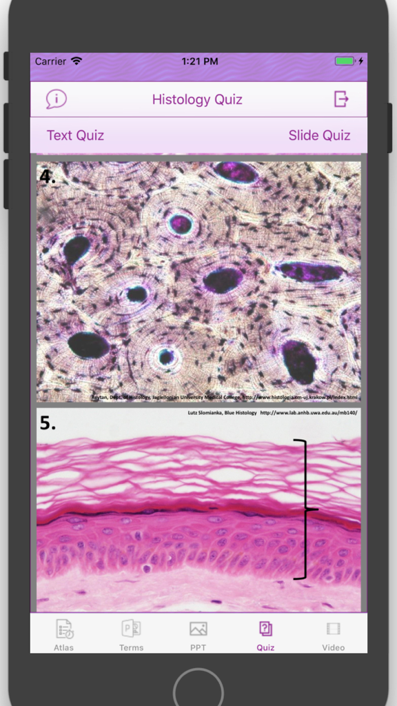Histology Cell Tissue - Interface de Quiz de Histologia exibindo lâminas de tecido microscópicas para estudantes de medicina.
