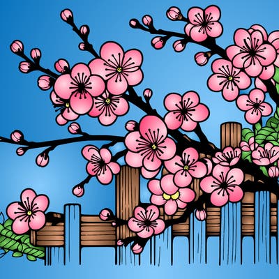 japan cherry blossom