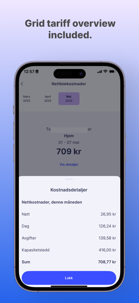 Captura de pantalla de la aplicación Elekt que muestra un desglose detallado de los costos mensuales de electricidad de las tarifas de la red.