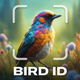 Bird Identifier AI ~ Sound ID
