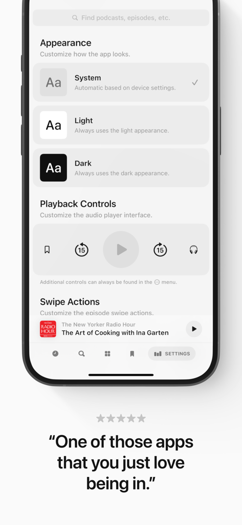 Neuecast: Podcast App - Settings screen of the Neuecast podcast app showing appearance and playback control customization options.