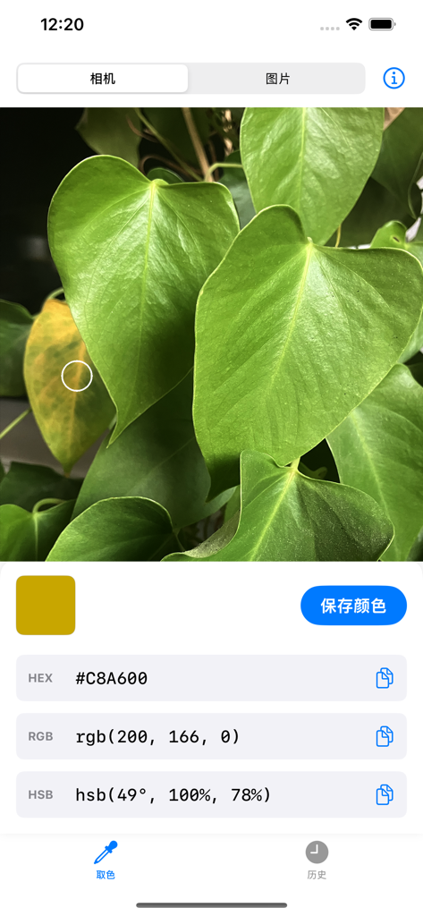 Dev Color Picker 앱이 실시간 카메라 기능을 사용하여 나뭇잎에서 HEX 및 RGB 색상 값을 추출하는 모습.