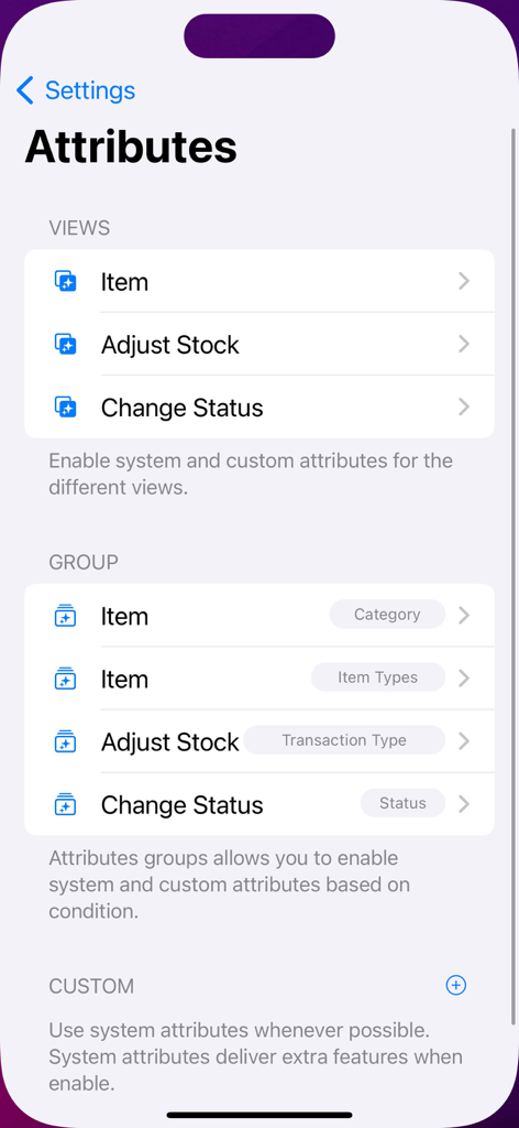Inventory management app screen showing attribute settings for items and stock adjustments.