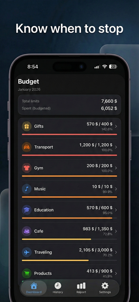 Stash Flow app budget dashboard showing monthly spending limits and category progress bars.