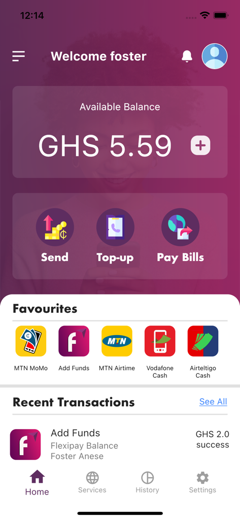 FlexiPAY App - FlexiPAY app dashboard showing account balance and quick links for sending money and paying bills
