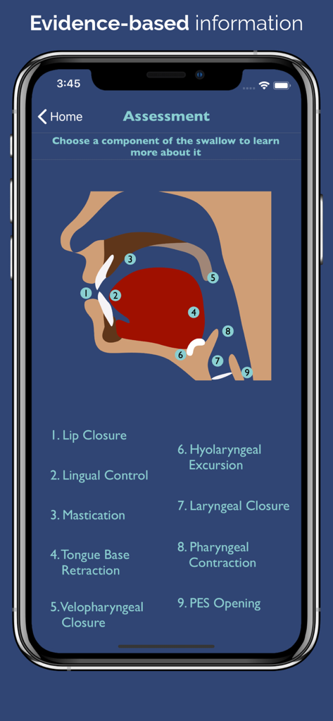 Anatomy diagram of the nine components of the swallow for clinical assessment in the Dysphagia Therapy app.