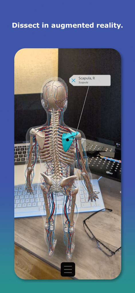 Human anatomy 3D model with skeletal and circulatory systems shown in augmented reality on a desk.