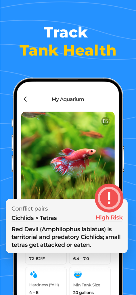 OkayFish - Pet Fish Care Guide - A mobile interface of the OkayFish app showing a high risk compatibility warning between Cichlids and Tetras in an aquarium.