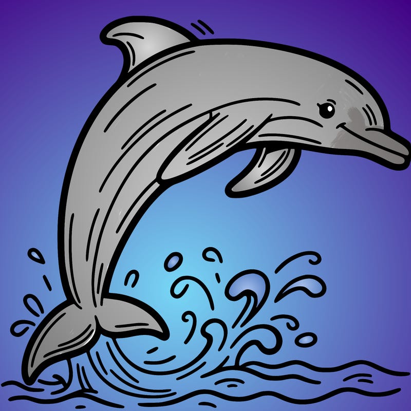 dolphin