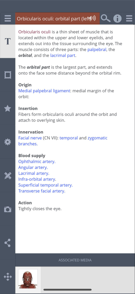 Primal's 3D Head & Neck - Detailed anatomical information about the Orbicularis oculi muscle in the Primal 3D Head and Neck medical app
