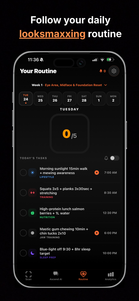 Ascend - Looksmax & Mog AI - Mobile screen showing a daily looksmaxxing routine with tasks for lifestyle, training, nutrition, and jaw training