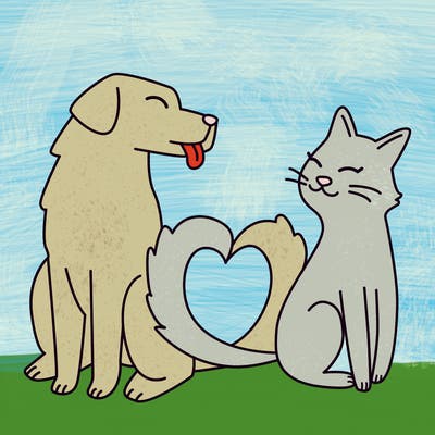 animals_22