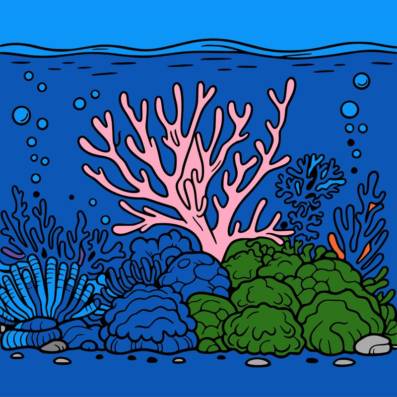 coral-reef out line