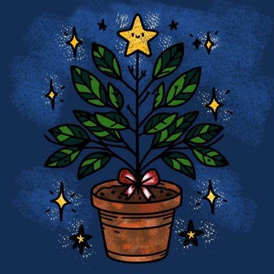 christmas plant