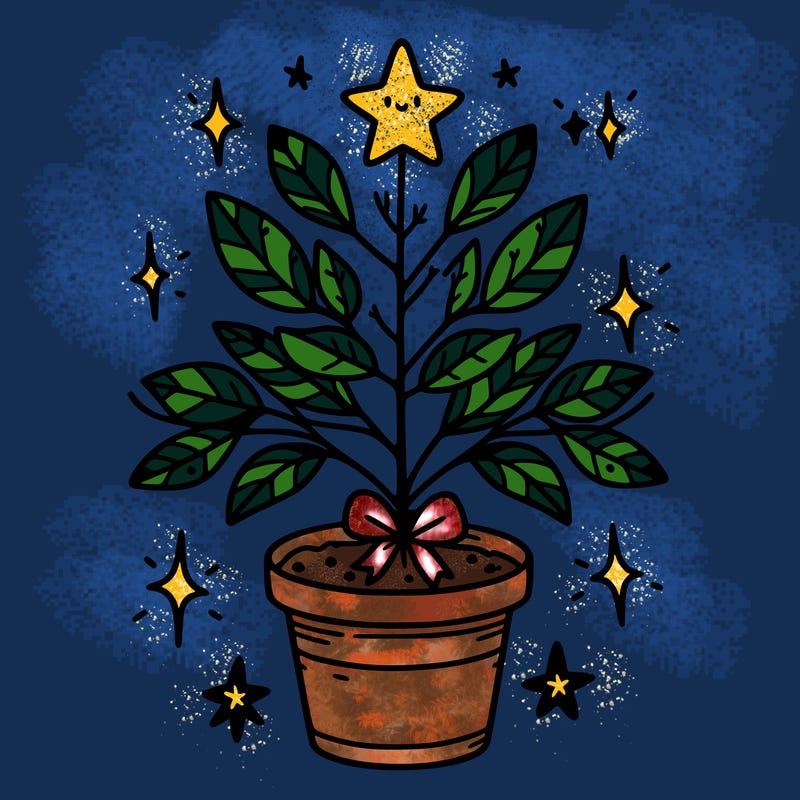 christmas plant