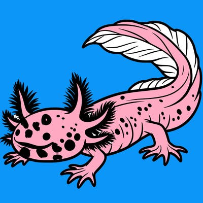 axolotl