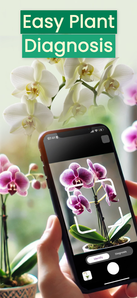 Orchid Care - Plant identifier - A person using the Orchid Care app on a smartphone to scan a purple orchid for diagnosis.