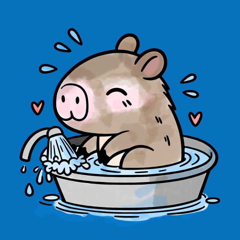 capybara taking a bath
