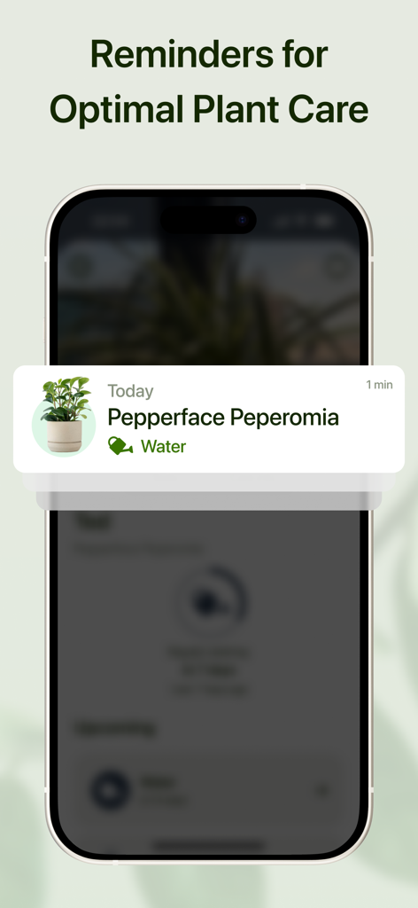 Plant AI - Identify & Care - Un écran d'iPhone affichant une notification de rappel d'arrosage pour une plante de Peperomia Pepperface dans l'application Plant AI.